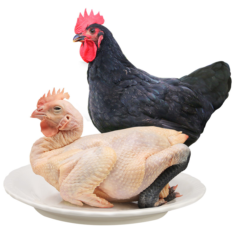 岭南黑脚土鸡1000g