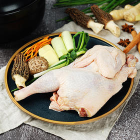 物本源无抗老母鸡