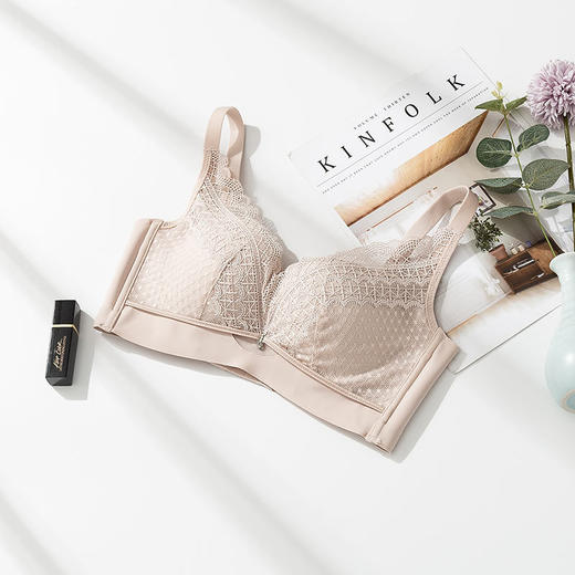 上海旗袍厂TG-TG02S081新款真丝文胸 蕾丝薄款性感聚拢内衣侧收调整型桑蚕丝内衣 商品图6