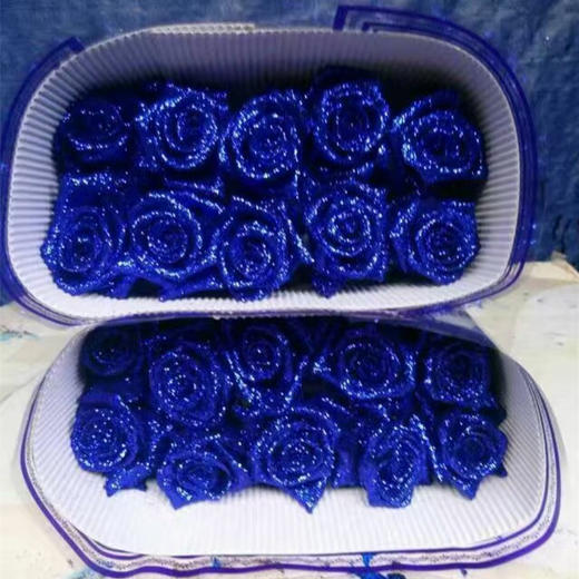 玫瑰·蓝色妖姬 商品图0