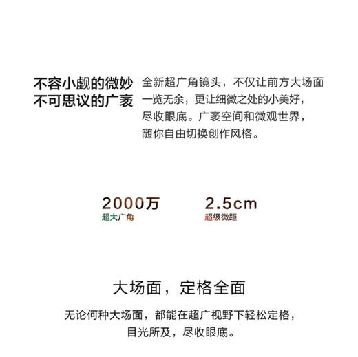 华为 HUAWEI P30 Pro 全网通版双4G手机JPY带授权招加盟代理 商品图11