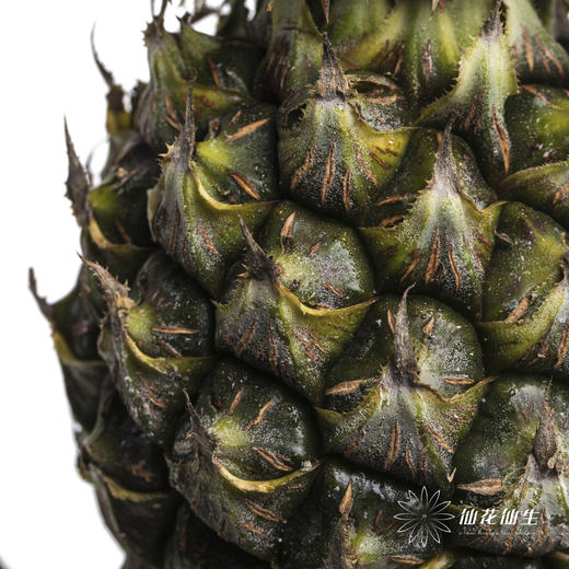 配果 | 黑凤梨 商品图1