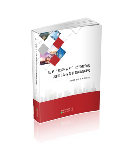 基于“政府+农户”双元视角的农村社会保障供给绩效研究 商品图0