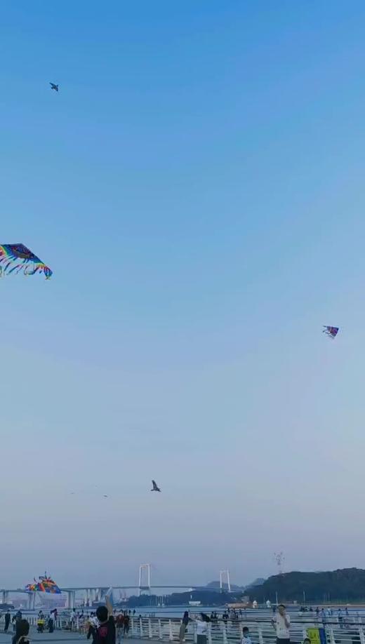 说说藏山院 商品图0