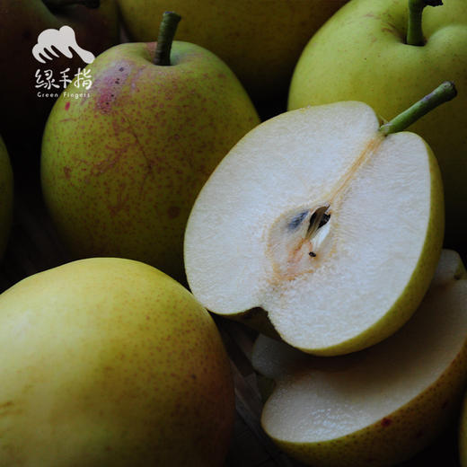 生态半夏梨 | 合作生产 *Eco-summer pear | Coproduction 商品图3