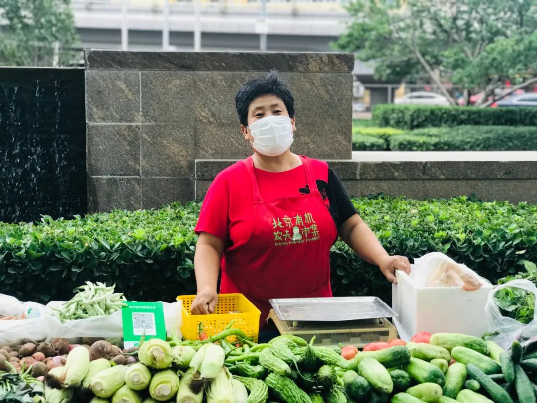 陈艳红 11种蔬菜，预计6月5日发货，限北京！