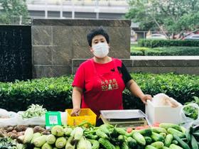 陈艳红 8种蔬菜，3月27日发货，限北京！