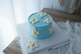 【含保温袋】4寸是小蓝呀