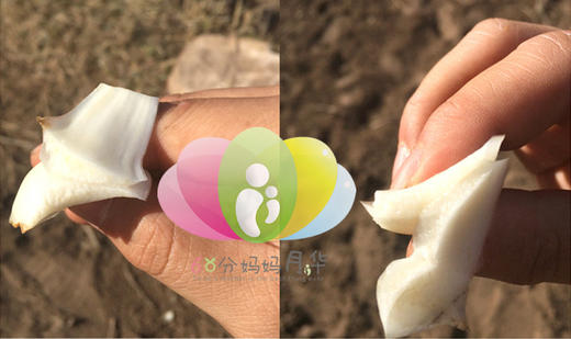 恩施无硫百合干（2罐装，每罐300g） 商品图7