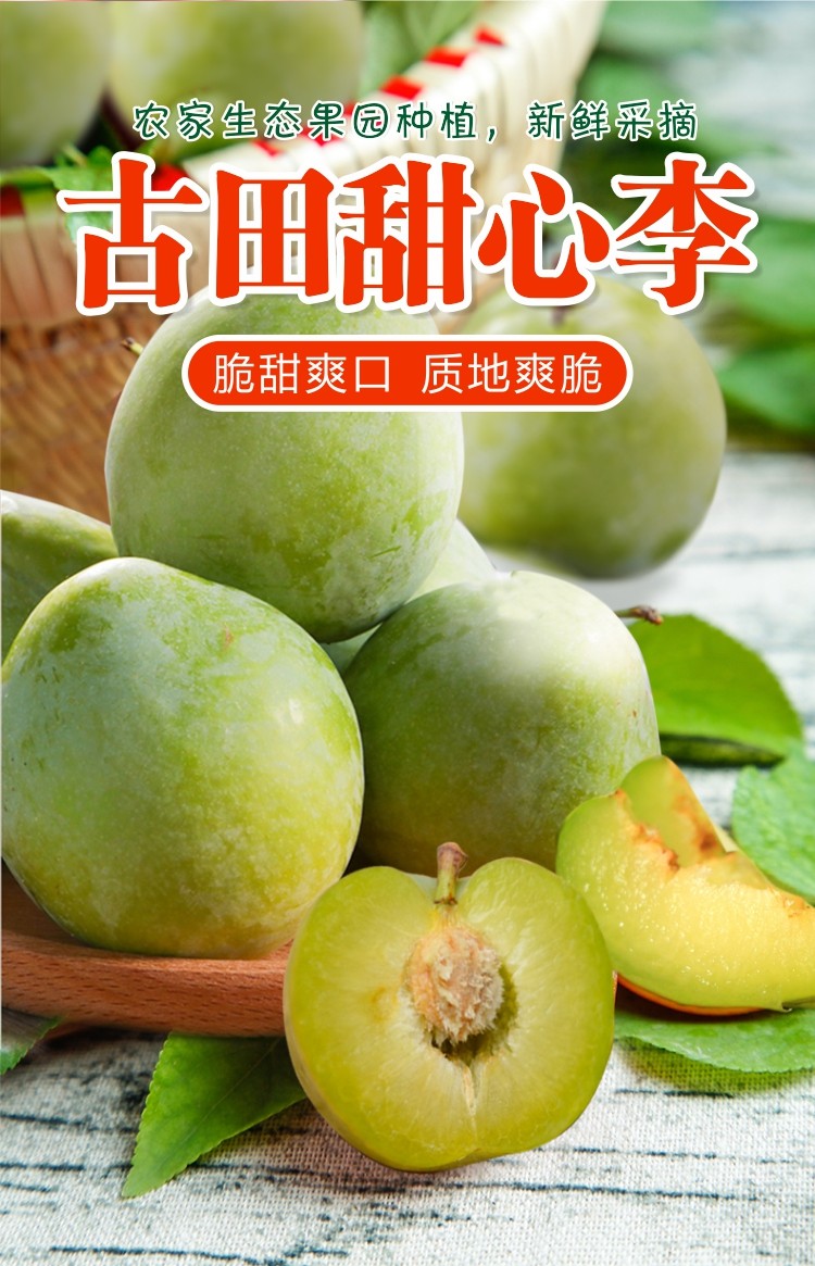 古田甜心青奈李芙蓉李5斤装