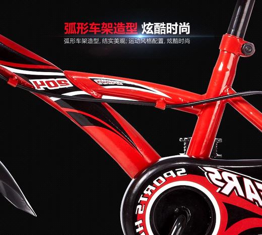 小龙哈彼自行车12寸童车脚踏车2-4岁宝宝儿童单车LB1230Q-N307 S101Y S102U N308JPY带授权招加盟代理 商品图5