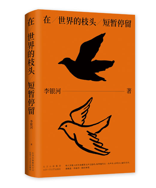 【新经典】李银河：在世界的枝头短暂停留 商品图3