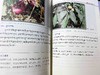 《藏药古本经典图鉴四种》是一套藏汉对照的翻译作品，内容由《度母本草》《妙音本草》《宇妥本草》及《药名之海》四种组成。 商品缩略图8