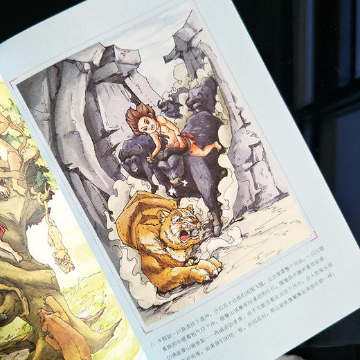 丛林故事 商品图1