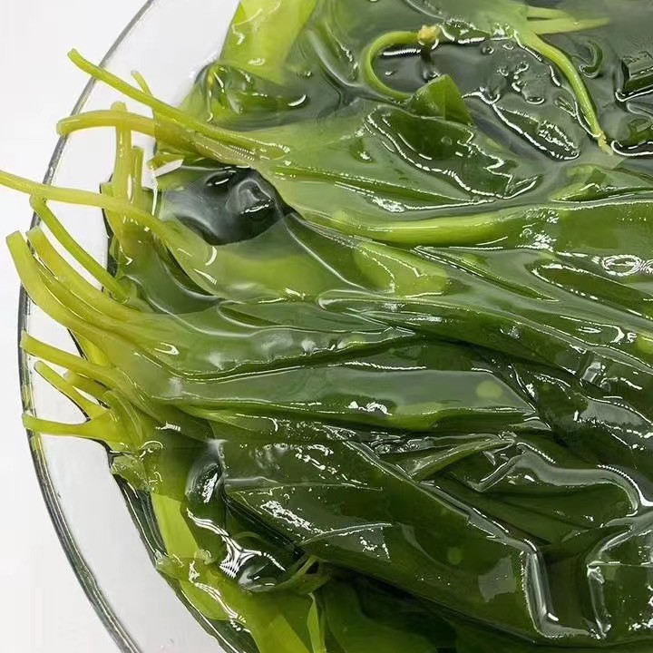 霞浦海带嫩苗（芽新鲜薄幼嫩 2斤装）