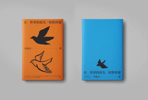 【新经典】李银河：在世界的枝头短暂停留 商品图2