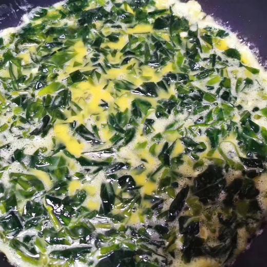 霞浦海带嫩苗（芽新鲜薄幼嫩 2斤装） 商品图13