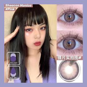 SHEACON莫妮卡紫 直径14.5mm 美瞳