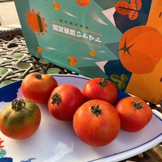 【丽妃蜜水果番茄】约4.5斤/箱， 商品图0