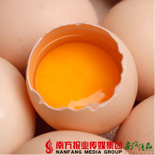 【全国包邮】散养土鸡蛋  30颗 /盒  （72小时之内发货） 商品图1