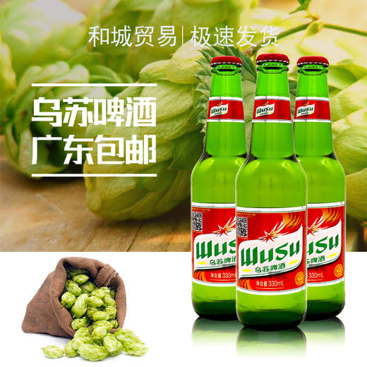 新疆乌苏啤酒330ml/1瓶/6瓶/24瓶整箱 商品图2