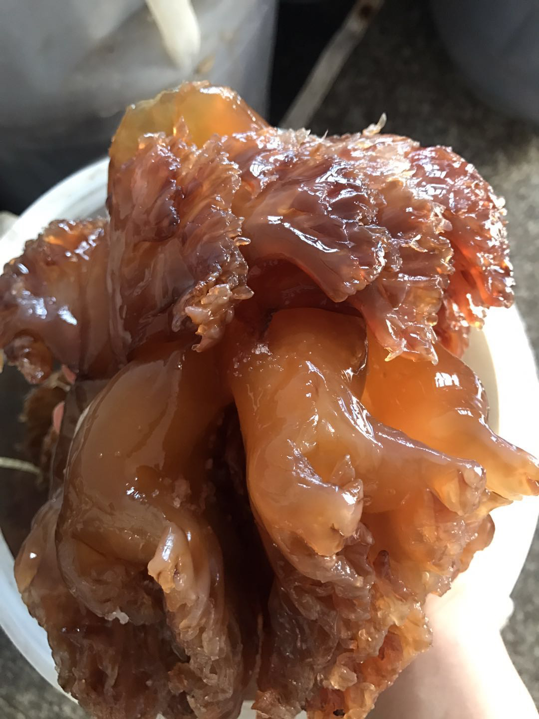 野生海蜇皮海蜇头常温保存冷水泡淡不能用热水