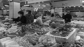 失业日记（五）工作的价值