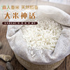 【红河卧龙谷】 彝人香米5.0kg/袋 商品缩略图3
