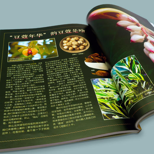 博物文创 “天地万物返本真”博物科普礼盒 博物君式科普 10年科普秘籍 商品图3