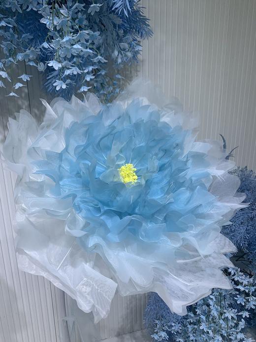 双色丝花【运费自理】 商品图2