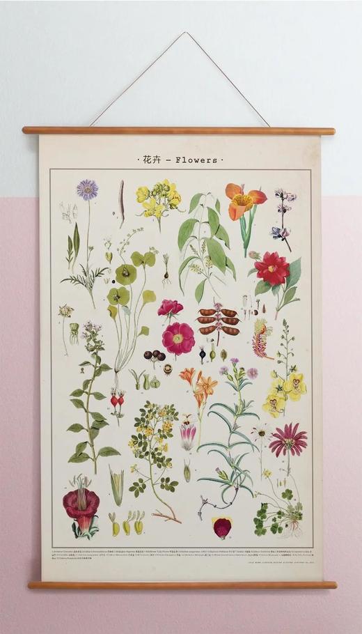 伽罗 JALO 博物画-花卉 P207/P208（预计15天内发货） 商品图1