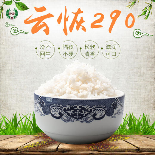 【红河卧龙谷】原谷软米，10.0kg/袋 商品图1