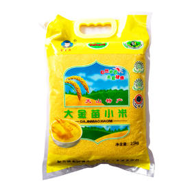 天山特产大金苗小米(适合做粥)【5斤/袋】