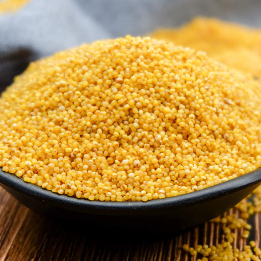 陕北米脂小米 农家月子米 现磨现发 5斤装 - 田小仙杂粮家