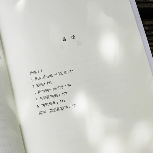 蓝色人生 轻与重文丛 马丁斯蒂芬斯著 人生哲学 商品图2