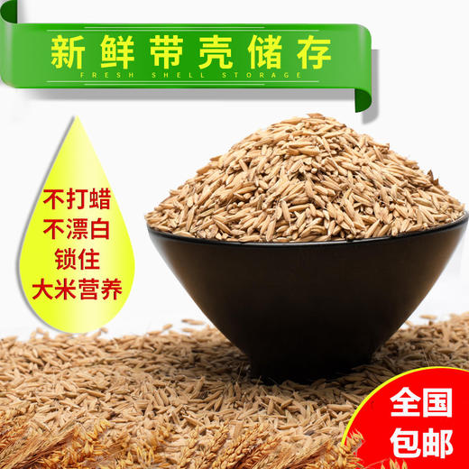 【红河卧龙谷】原谷软米，10.0kg/袋 商品图4