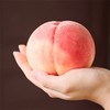 【日本老品种川中岛水蜜桃】12枚/箱，约5.5.斤，滑嫩软甜，撕皮吃 商品缩略图0