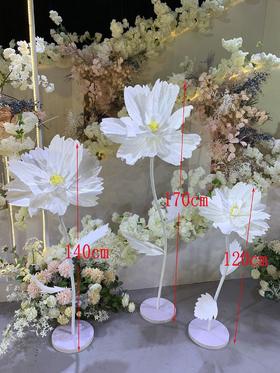 美心花【运费自理】