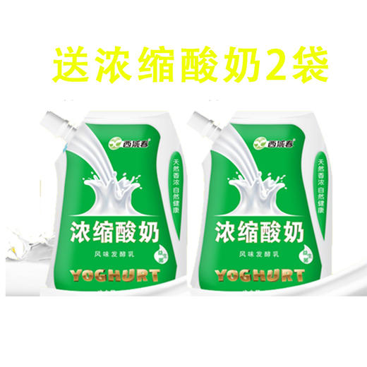 西域春冰淇淋酸奶135g*12（送浓缩酸奶2袋） 商品图2