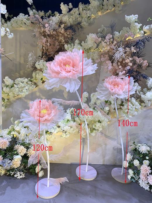 双色丝花【运费自理】 商品图0