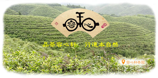 【预订】2025年  茶叶 商品图0