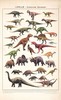 伽罗 JALO 博物画-白垩纪恐龙 P197/P198（预计10天内发货） 商品缩略图0