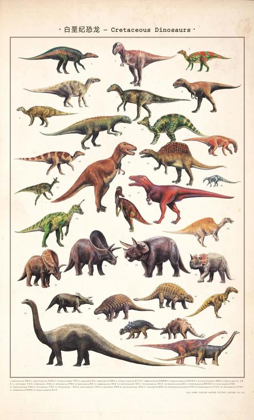 伽罗 JALO 博物画-白垩纪恐龙 P197/P198（预计10天内发货） 商品图0
