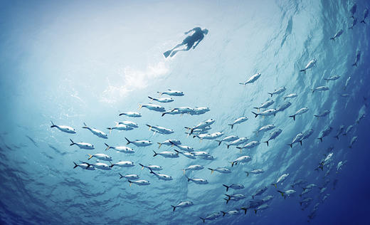 广阔的海洋 商品图0