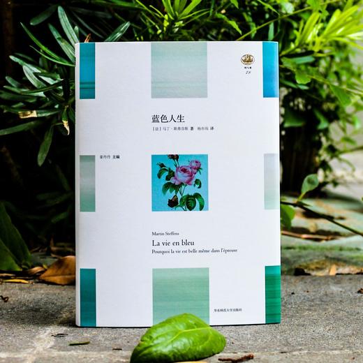 蓝色人生 轻与重文丛 马丁斯蒂芬斯著 人生哲学 商品图1