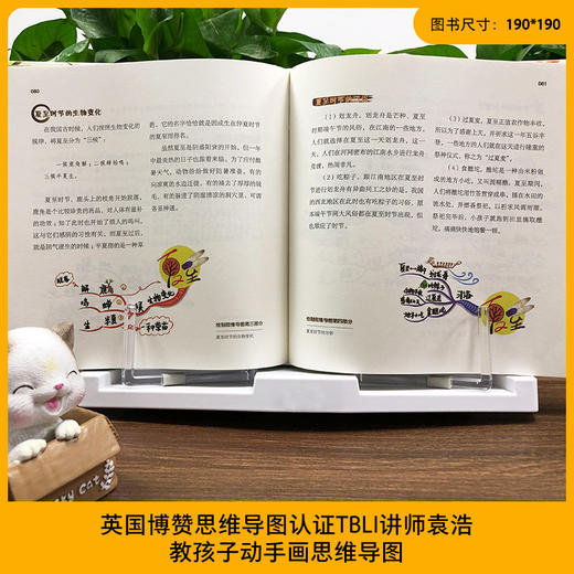 《思维导图说中国传统文化》全3册 精装 商品图7