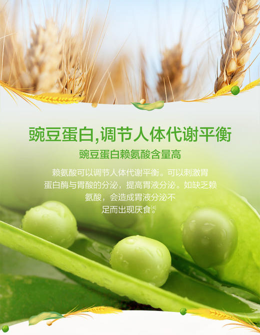 汤臣倍健植物蛋白质粉600g增加免疫 买8罐送150g*1罐