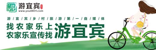 游宜宾活动尾款支付通道 商品图0