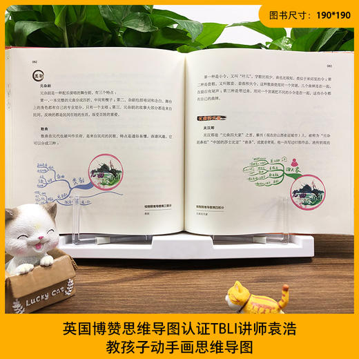 《思维导图说中国传统文化》全3册 精装 商品图11