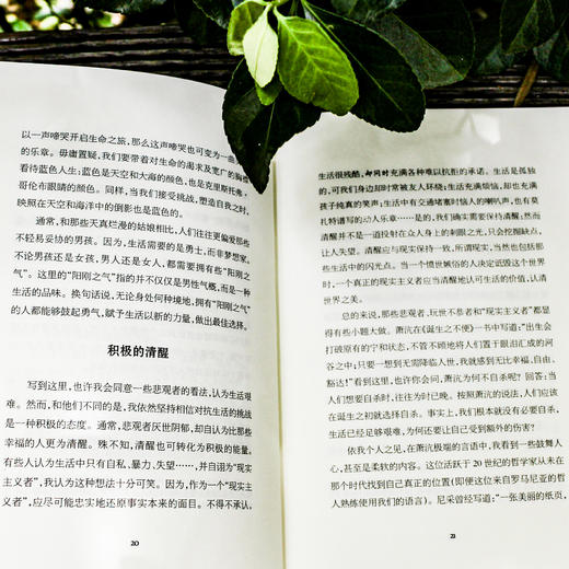 蓝色人生 轻与重文丛 马丁斯蒂芬斯著 人生哲学 商品图3